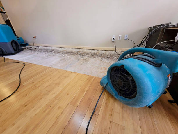Professional Structural Drying technician working in Lansing, WV